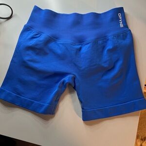 Women's Blue Athletic Shorts